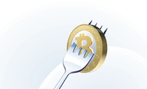 Fork bitcoin 2018